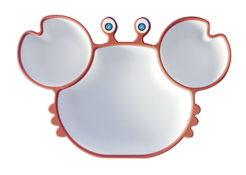 Silicone Baby Feeding Plate and Bowl Set