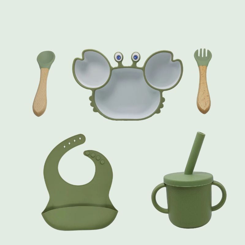 Silicone Baby Feeding Plate and Bowl Set